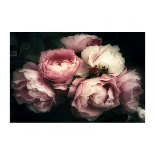 SI PEONY FLOWERS Utolsó 1db  Pink Wall pictures and picture frames
