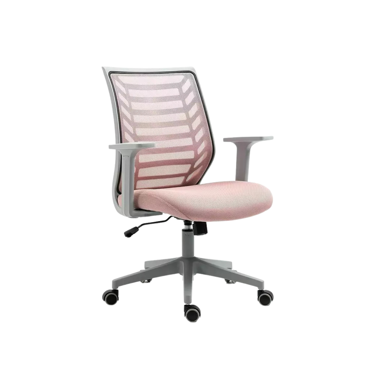 SI STELLA (2).png