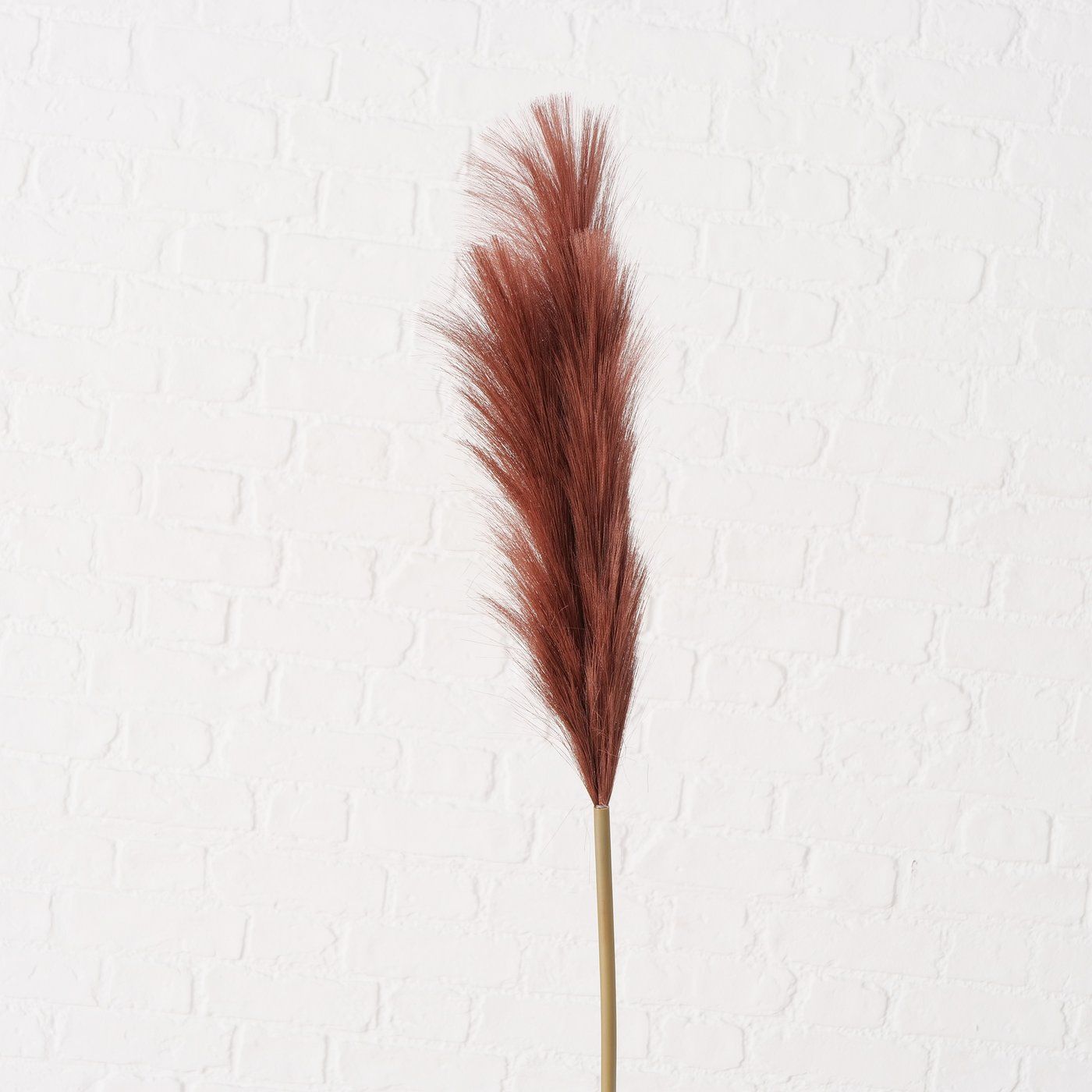 B BROWNIE Brown design Indoor decor