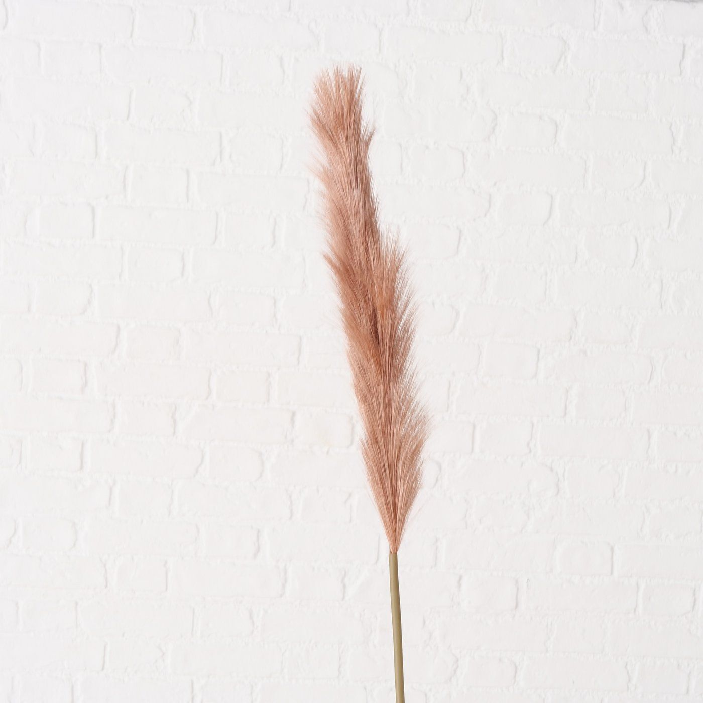 B BROWNIE Natural design Indoor decor