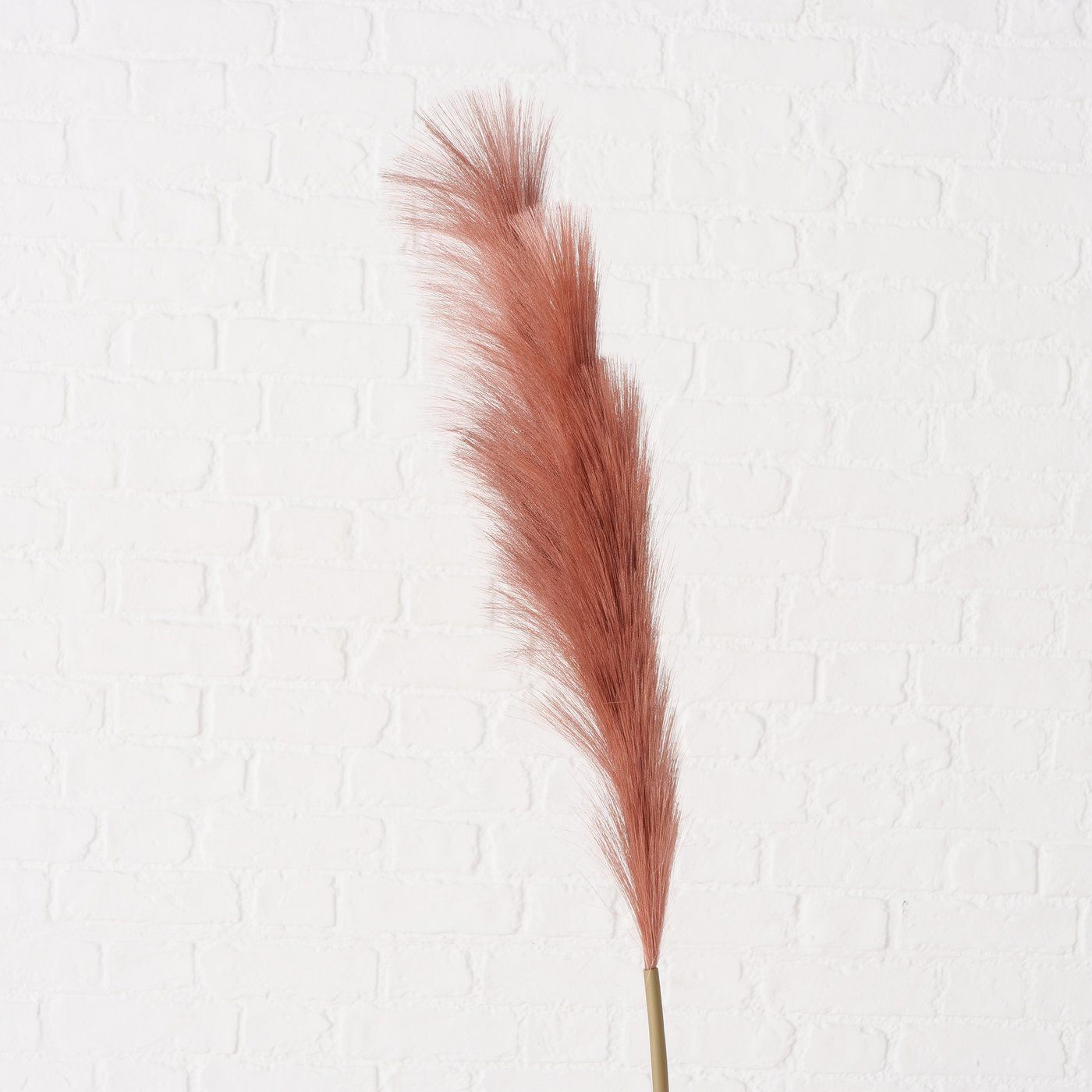B BROWNIE Beige design Indoor decor