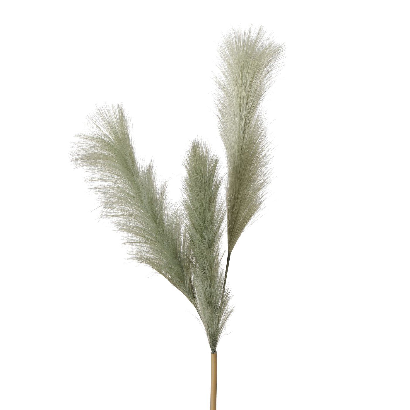 B REEDINA Green design Home decor outlet