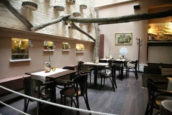 Zoo Café