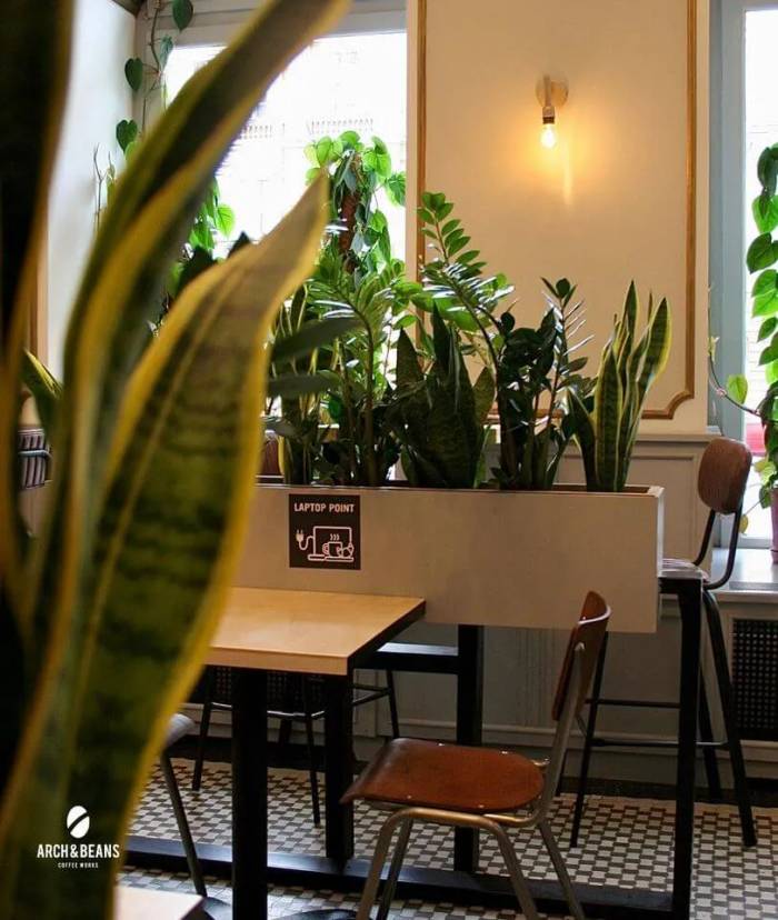 Arch&Beans Coffee