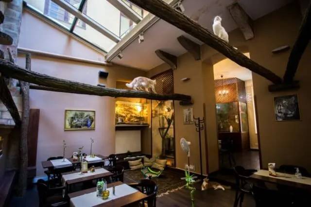 Zoo Café
