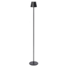 BT ANETTE Black modern Indoor floor lamp
