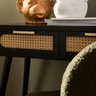 BT ROSINA Black industrial Rosina product family
