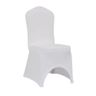 DL CHAIR SPANDEX White classic Accessory